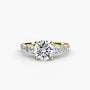 Completed Ring (Europe Size 46.00)